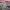 https://res.cloudinary.com/billionhands/image/upload/v1771334298/items/ifbuvwqsrskotsv4jpyt.jpg-2cover