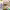 https://res.cloudinary.com/billionhands/image/upload/v1771334310/items/hclsgwufvth3asm9cy6k.avif-1cover