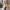 https://res.cloudinary.com/billionhands/image/upload/v1771334514/items/ltddutldcjzib8pdeofv.webp-3cover