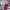 https://res.cloudinary.com/billionhands/image/upload/v1771334742/items/cbjttwuacbvucybbipgo.jpg-2cover