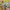 https://res.cloudinary.com/billionhands/image/upload/v1771334800/items/kzgatb9lvqd3fawub77f.jpg-2cover