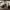 https://res.cloudinary.com/billionhands/image/upload/v1771334842/items/brpqdamg0fapluzdtxu0.jpg-3cover