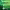 https://res.cloudinary.com/billionhands/image/upload/v1771334881/items/imjmksg9sblzfadeixhg.jpg-2cover