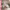 https://res.cloudinary.com/billionhands/image/upload/v1771334926/items/shdvgs06ryz7s2yiohjn.jpg-3cover