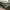 https://res.cloudinary.com/billionhands/image/upload/v1771335008/items/y057tsd8yj6sgfc2qvud.webp-2cover