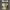 https://res.cloudinary.com/billionhands/image/upload/v1771335010/items/tdzh4xthh142dl8hzxtb.jpg-2cover