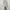 https://res.cloudinary.com/billionhands/image/upload/v1771335036/items/omsfmiujaupcatiu7ce5.png-3cover