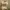https://res.cloudinary.com/billionhands/image/upload/v1771335037/items/ajsghehvfqmzdiku8lru.jpg-3cover