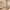 https://res.cloudinary.com/billionhands/image/upload/v1771335043/items/uxumbbgnxigjyzqxcmgk.avif-1cover