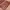 https://res.cloudinary.com/billionhands/image/upload/v1771335052/items/adros5ridgq7rlzewmib.jpg-3cover