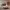 https://res.cloudinary.com/billionhands/image/upload/v1771335207/items/lwsul1ylqqeq4lrpn96t.jpg-0cover