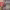 https://res.cloudinary.com/billionhands/image/upload/v1771335265/items/oi8vludnruove7tixeyd.avif-3cover