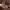 https://res.cloudinary.com/billionhands/image/upload/v1771335311/items/ciutk7hzbprn3fd8oza6.jpg-1cover