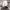 https://res.cloudinary.com/billionhands/image/upload/v1771335320/items/cdx20t2ynywe59e8y1pa.jpg-0cover