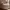 https://res.cloudinary.com/billionhands/image/upload/v1771335325/items/kiipuxtraetkmt6xjnds.webp-2cover