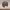 https://res.cloudinary.com/billionhands/image/upload/v1771335327/items/cepvu7xsay9npyexvrnp.webp-3cover