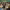 https://res.cloudinary.com/billionhands/image/upload/v1771335343/items/dcs8fuk88gt5oexdjn8r.png-2cover