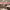 https://res.cloudinary.com/billionhands/image/upload/v1771335346/items/vawvnkykxzef7mosm6bh.jpg-3cover