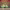 https://res.cloudinary.com/billionhands/image/upload/v1771335369/items/zdugxwmjjhxqmp6iogrg.jpg-0cover