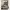 https://res.cloudinary.com/billionhands/image/upload/v1771335377/items/bywtb6o2bgbomrsyaia7.jpg-3cover
