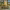 Albir Colonial (Online Store) cover