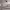 https://res.cloudinary.com/billionhands/image/upload/v1771335438/items/wtnx1csr9g9j3cb0kmam.jpg-1cover