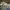 https://res.cloudinary.com/billionhands/image/upload/v1771335440/items/t7uprcuyxiilm2hwyovs.webp-3cover