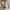 https://res.cloudinary.com/billionhands/image/upload/v1771335451/items/bj66zl2bydbr5aifxvw9.webp-1cover