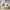 https://res.cloudinary.com/billionhands/image/upload/v1771335454/items/c9jm3umhq9gqnredut6s.jpg-3cover