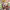 https://res.cloudinary.com/billionhands/image/upload/v1771335476/items/qvv7vqs4poq7y3jdxyps.jpg-1cover
