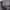 https://res.cloudinary.com/billionhands/image/upload/v1771335519/items/mlnuuiys3cbej4wy6yep.jpg-1cover