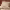 https://res.cloudinary.com/billionhands/image/upload/v1771335688/items/pwxm3kosse7lijuee4md.webp-0cover