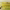 https://res.cloudinary.com/billionhands/image/upload/v1771335745/items/f21gjpmjmolejbdqnr1r.avif-2cover