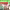 https://res.cloudinary.com/billionhands/image/upload/v1771335767/items/zngenla9dywtt7seeepy.jpg-1cover
