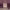 https://res.cloudinary.com/billionhands/image/upload/v1771335772/items/dpivexj5capy23ljzt1r.jpg-1cover