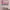 https://res.cloudinary.com/billionhands/image/upload/v1771335778/items/fnnoprvjsj9i74vervqa.gif-1cover