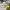 https://res.cloudinary.com/billionhands/image/upload/v1771335791/items/zvoo4vt28fw3flzels2v.jpg-0cover