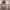 https://res.cloudinary.com/billionhands/image/upload/v1771335796/items/sdq0vt8oe4wktdngr6sz.jpg-3cover