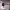 https://res.cloudinary.com/billionhands/image/upload/v1771335796/items/yrlowxjvrzfi4vtnjbn6.jpg-0cover