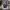 https://res.cloudinary.com/billionhands/image/upload/v1771335798/items/pob1ix09u239xour2pfp.webp-2cover
