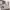 https://res.cloudinary.com/billionhands/image/upload/v1771335799/items/nf62v35ql6hqbdnranju.jpg-3cover