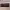 https://res.cloudinary.com/billionhands/image/upload/v1771335821/items/gbszrrazc2gpxo3y63zg.webp-2cover