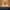 https://res.cloudinary.com/billionhands/image/upload/v1771335821/items/usirh3crxeyn62u6lidc.jpg-1cover