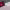 https://res.cloudinary.com/billionhands/image/upload/v1771335824/items/dzs8xnqwngznra23wpyd.jpg-3cover