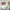https://res.cloudinary.com/billionhands/image/upload/v1771335845/items/obia3diksym82rapsnh1.jpg-0cover