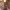https://res.cloudinary.com/billionhands/image/upload/v1771335856/items/hcl4xi6urk1xdj6kc4c3.jpg-1cover