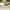 https://res.cloudinary.com/billionhands/image/upload/v1771335949/items/pgoiaiezpzyhvge4l4na.jpg-1cover