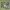 https://res.cloudinary.com/billionhands/image/upload/v1771336134/items/krwrf1xucpsn3cf79exr.jpg-2cover