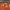 https://res.cloudinary.com/billionhands/image/upload/v1771336158/items/xbeqvhau05ouyjwbsxdv.webp-0cover