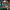 https://res.cloudinary.com/billionhands/image/upload/v1771336172/items/xncsiivnfavqpryxfdjx.jpg-3cover